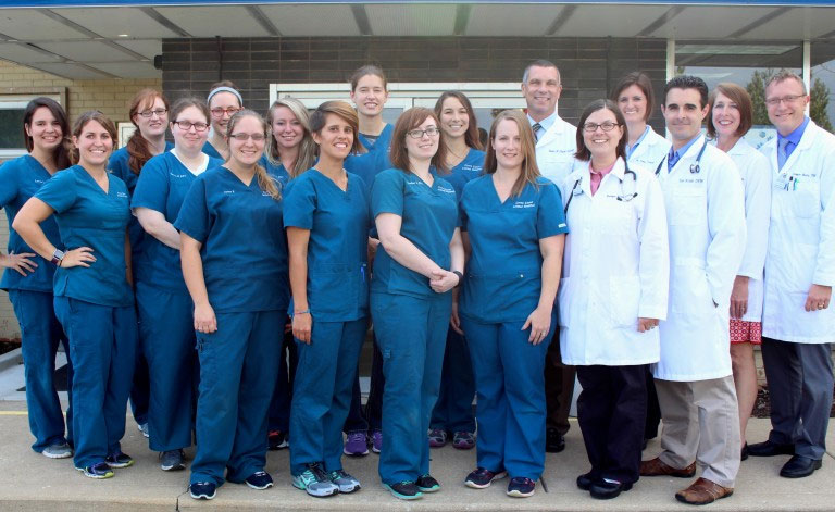 St. Louis Veterinarians