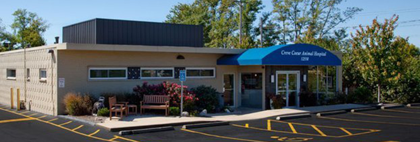 Saint Louis veterinarians